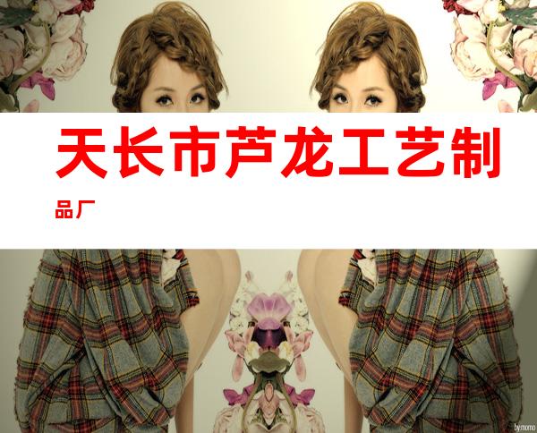 天长市芦龙工艺制品厂